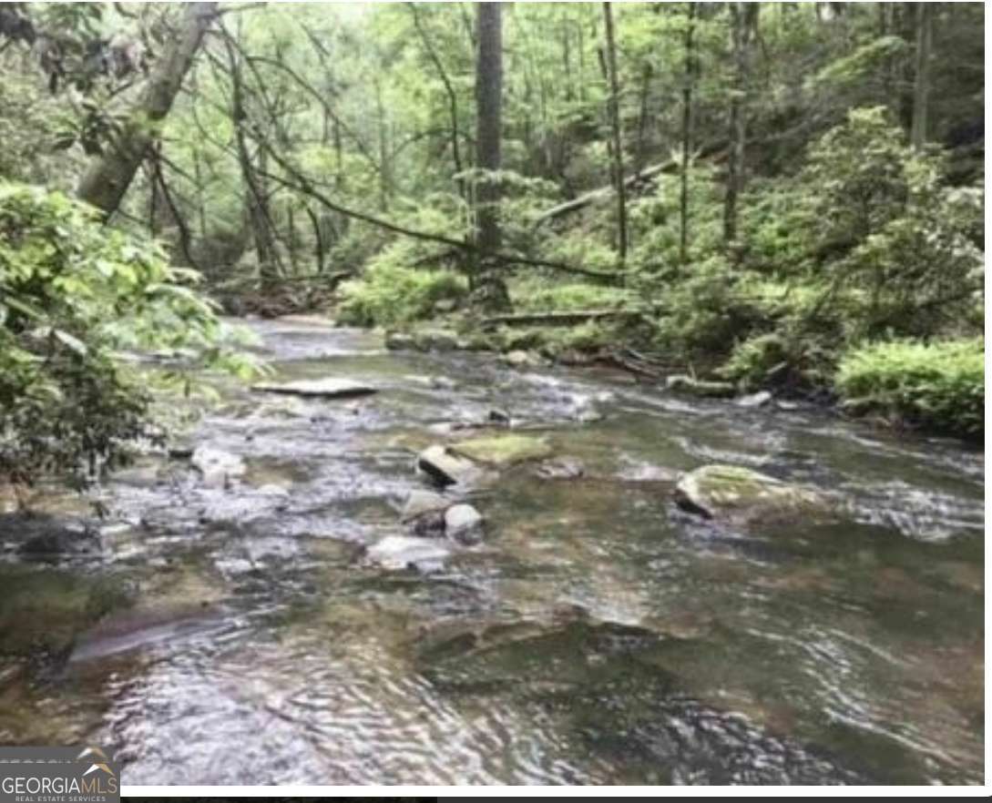 74 Grizzle Court Talking Rock, GA 30175 - Photo 5 of 6 a view of outdoor space and trees