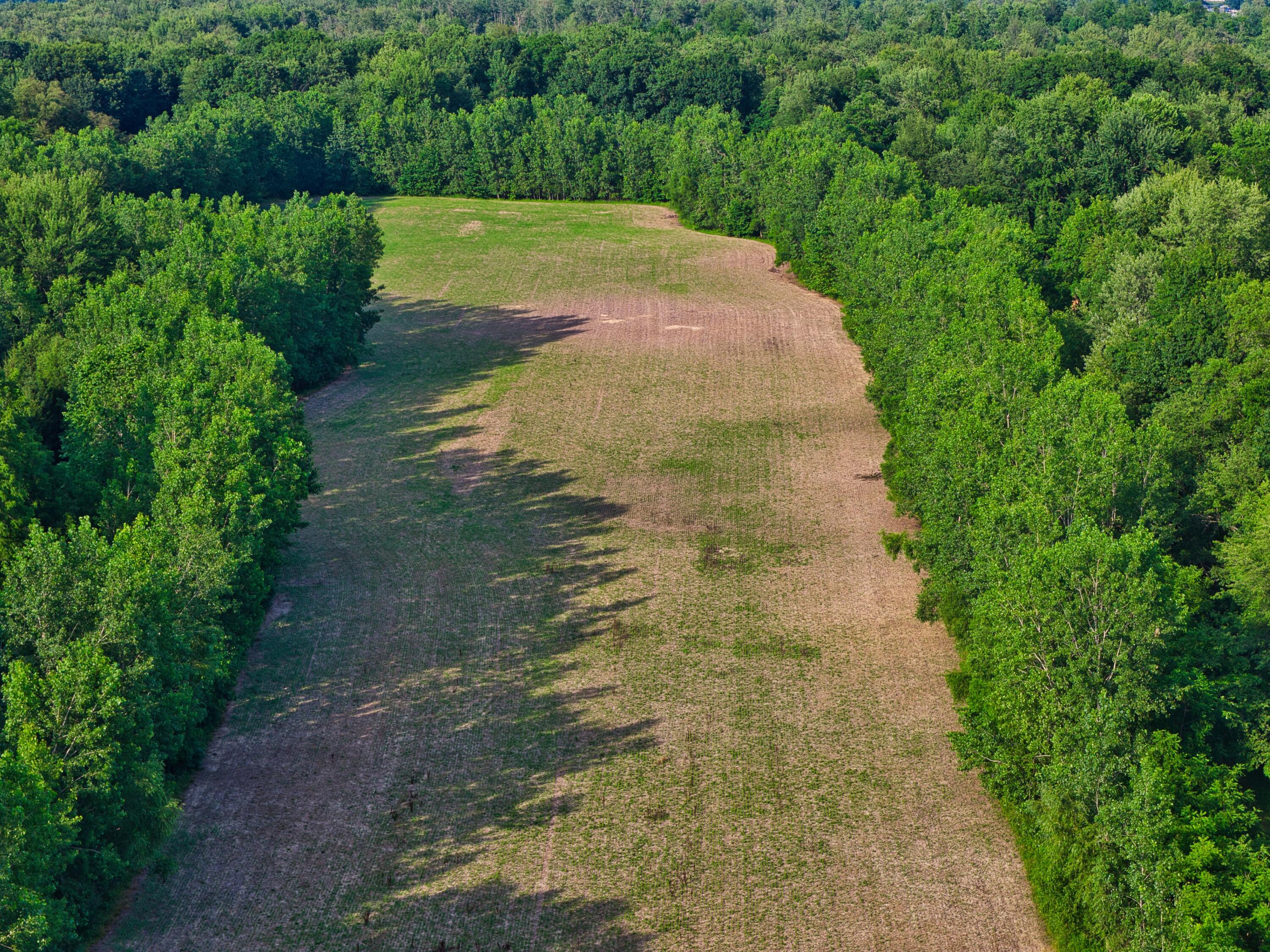 437 South Centennial Road Coldwater, MI 49036 - Photo 24 of 36 437 S Centennial - CDS - 7-8-26_27