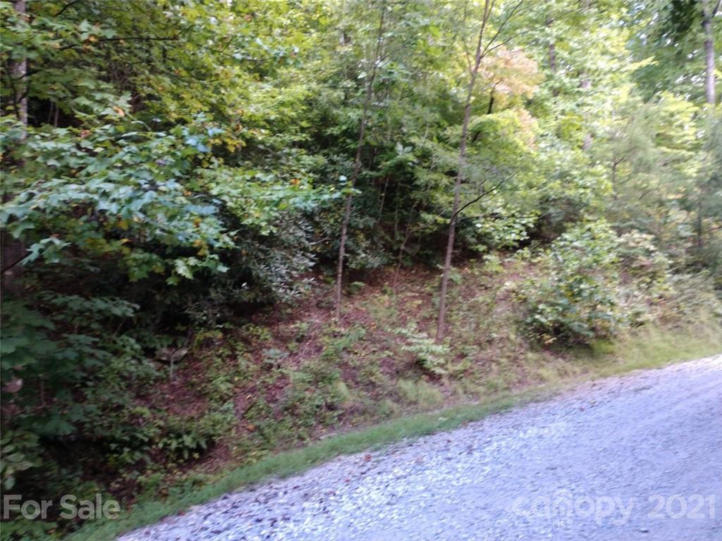 0 Lake Road, Unit 6C Old Fort, NC 28762 - Photo 2 of 4 Gallery Image 2