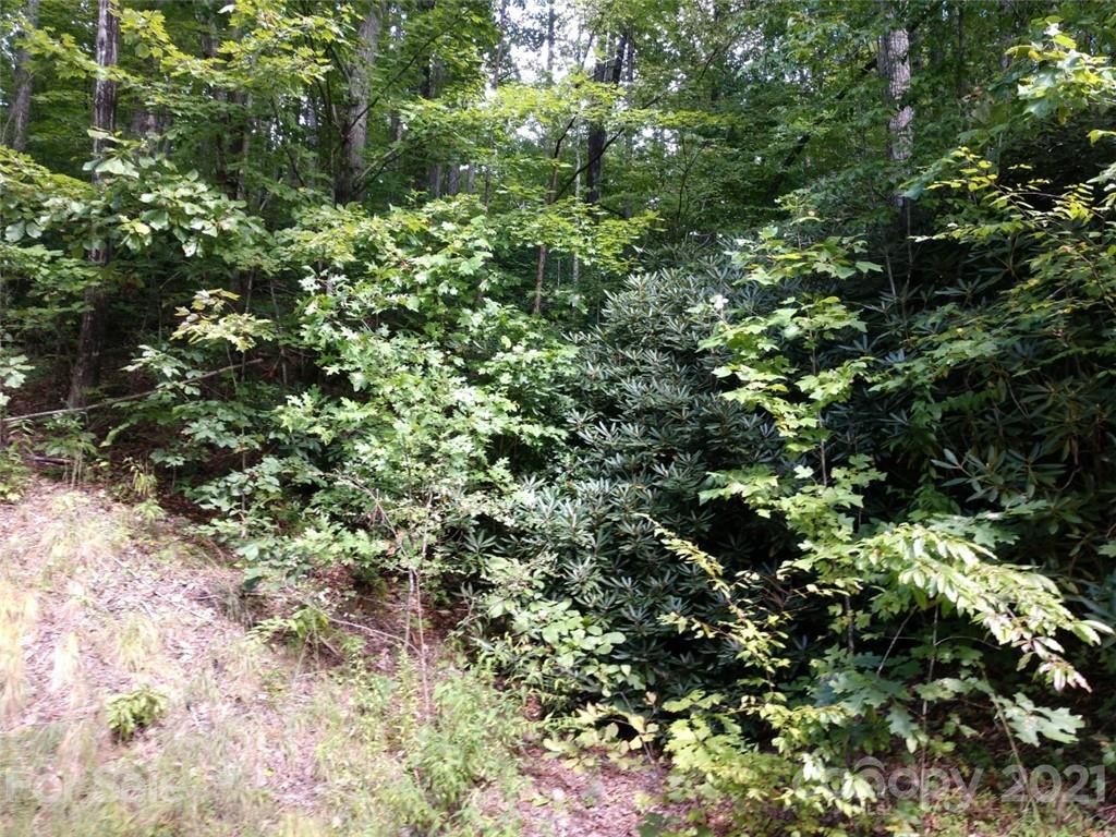 0 Lake Road, Unit 6C Old Fort, NC 28762 - Photo 3 of 4 Gallery Image 3