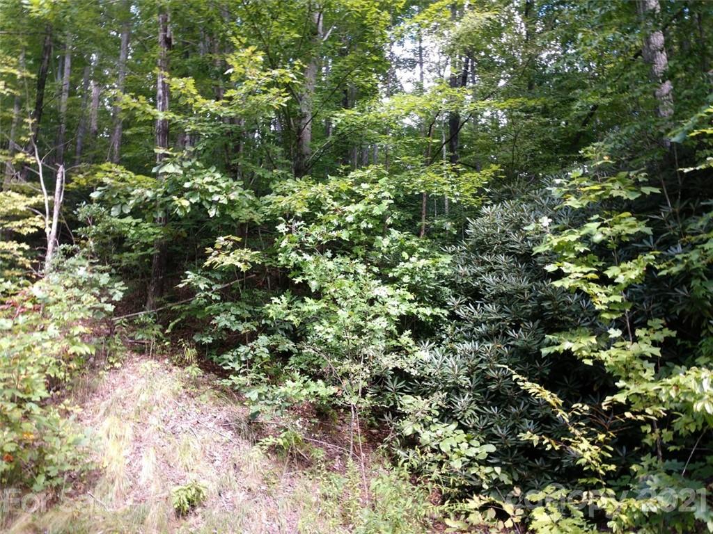 0 Lake Road, Unit 6C Old Fort, NC 28762 - Photo 4 of 4 Gallery Image 4