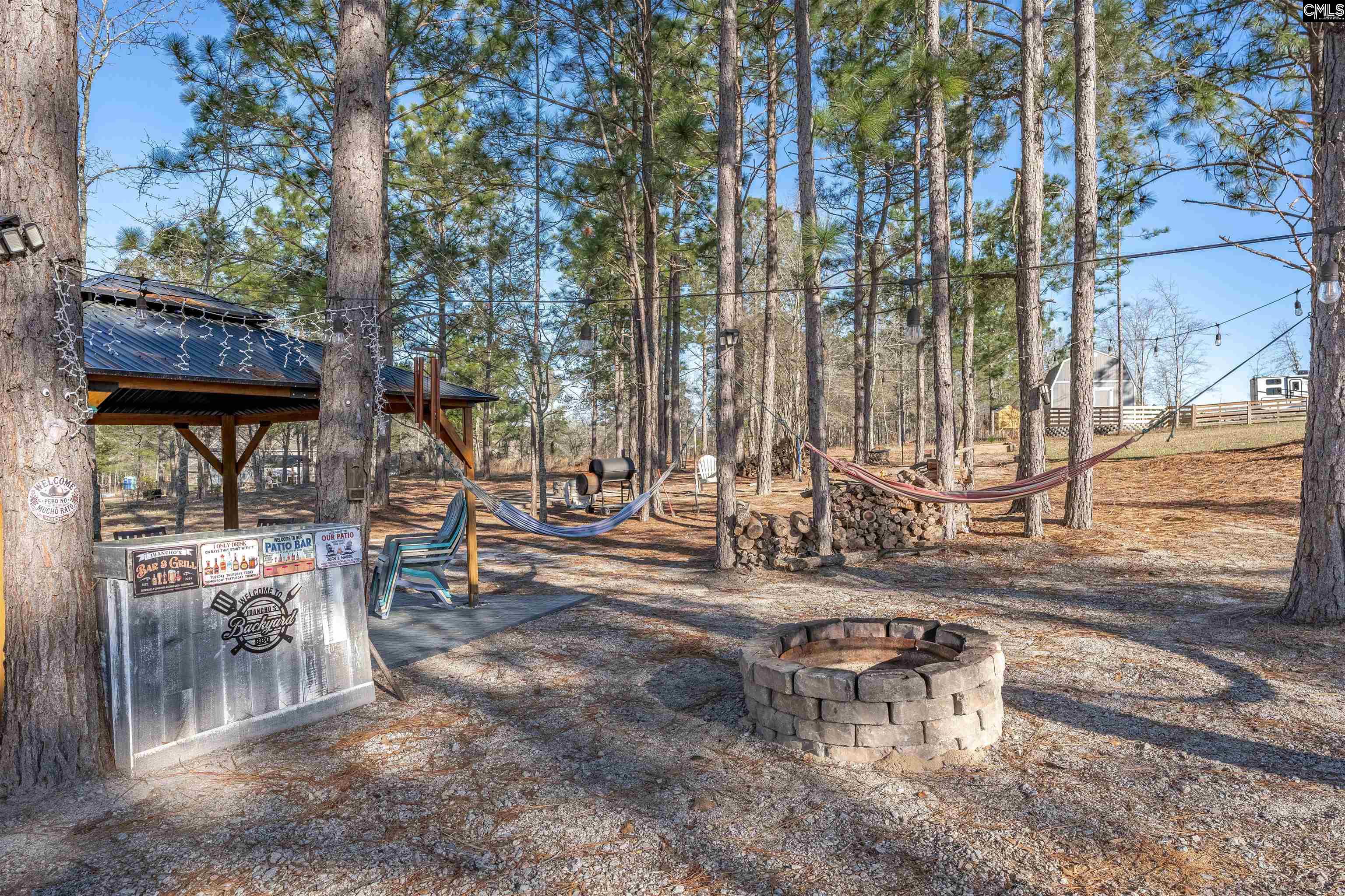 652 Rose Quartz Lane Lexington, SC 29073 - Photo 46 of 51