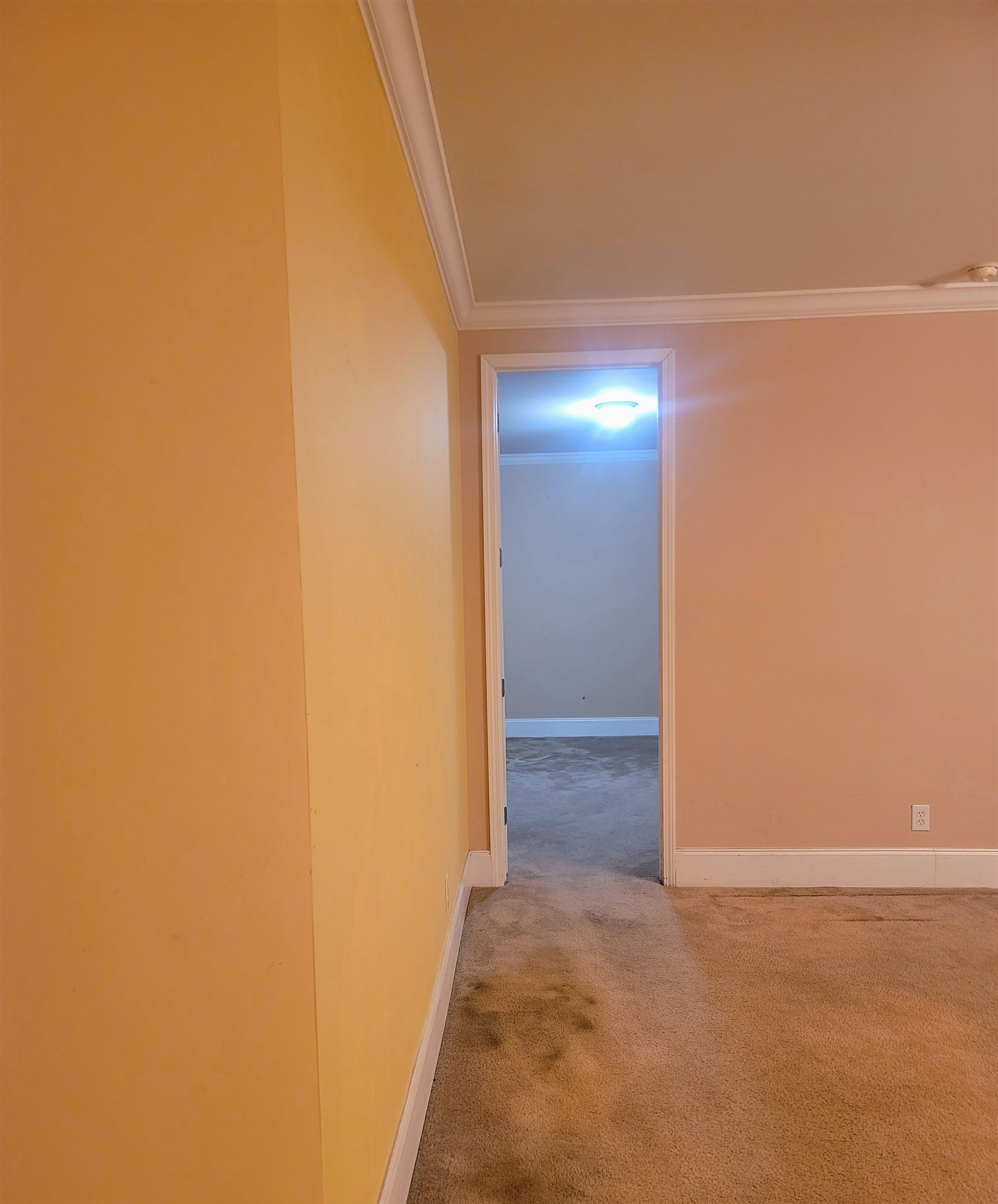 818 Moore Road Quincy, FL 32351 - Photo 12 of 49