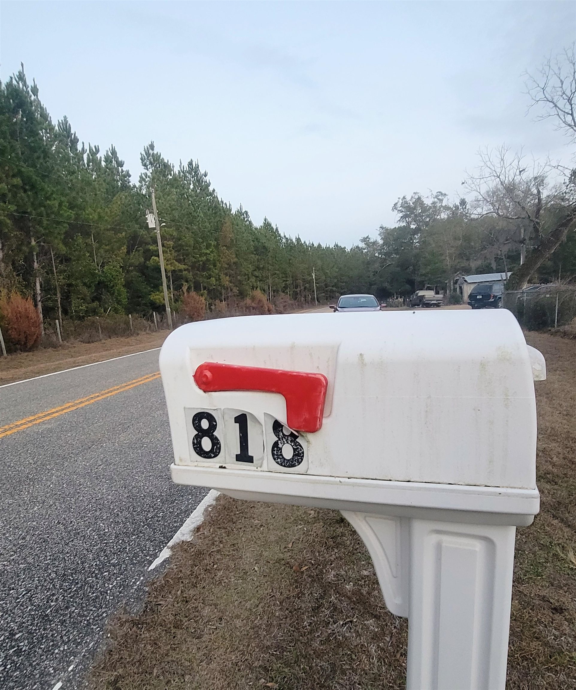 818 Moore Road Quincy, FL 32351 - Photo 5 of 49