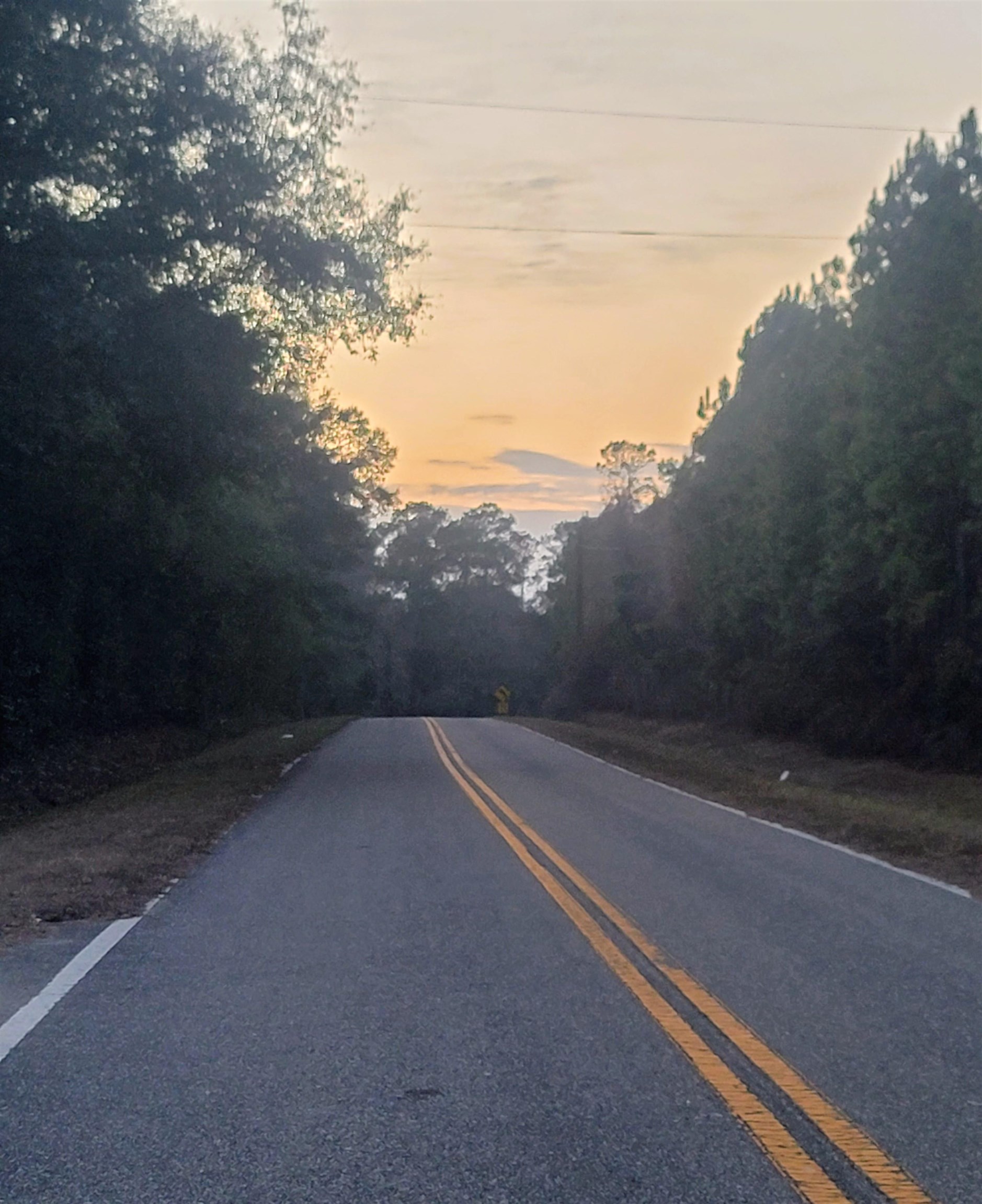 818 Moore Road Quincy, FL 32351 - Photo 6 of 49