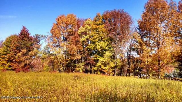 a close up of a wall