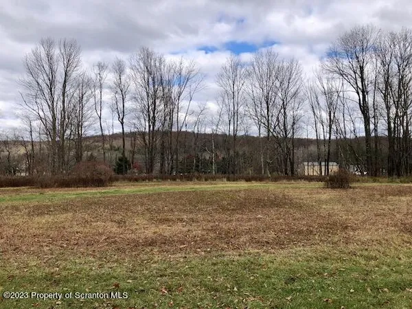 a view of backyard with large trees