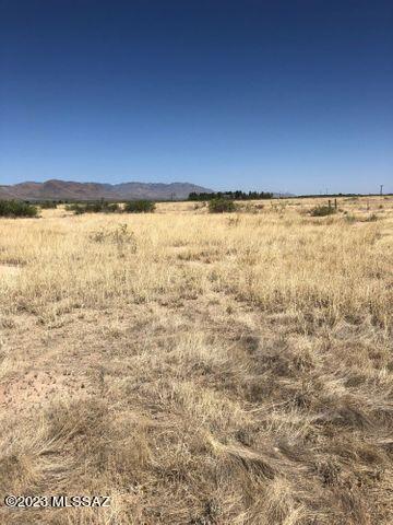 Fort Grant Road Willcox, AZ 85643 - Photo 4 of 5
