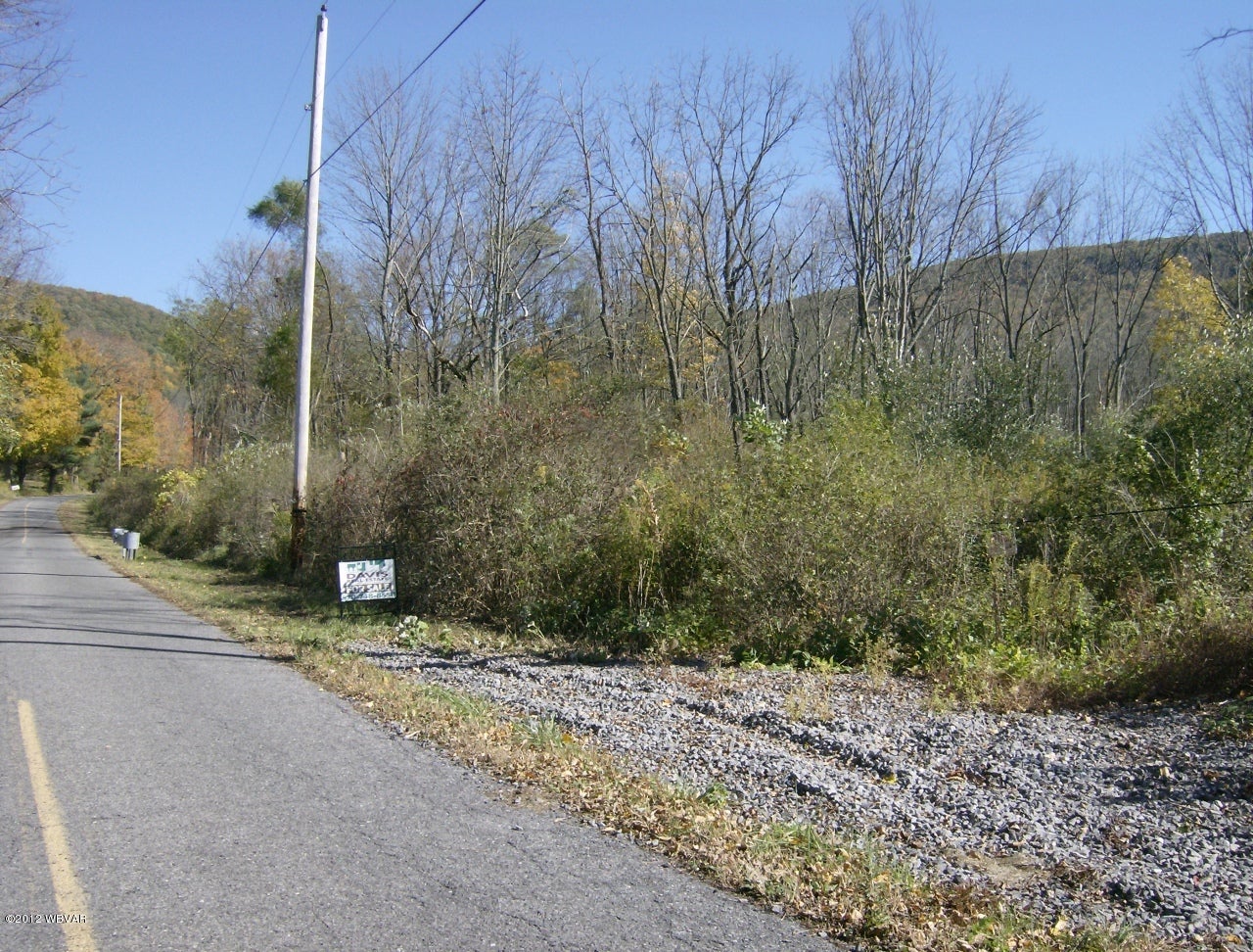 0 East End Mountain Road Mill Hall, PA 17751 - Photo 8 of 8 Land-Road3