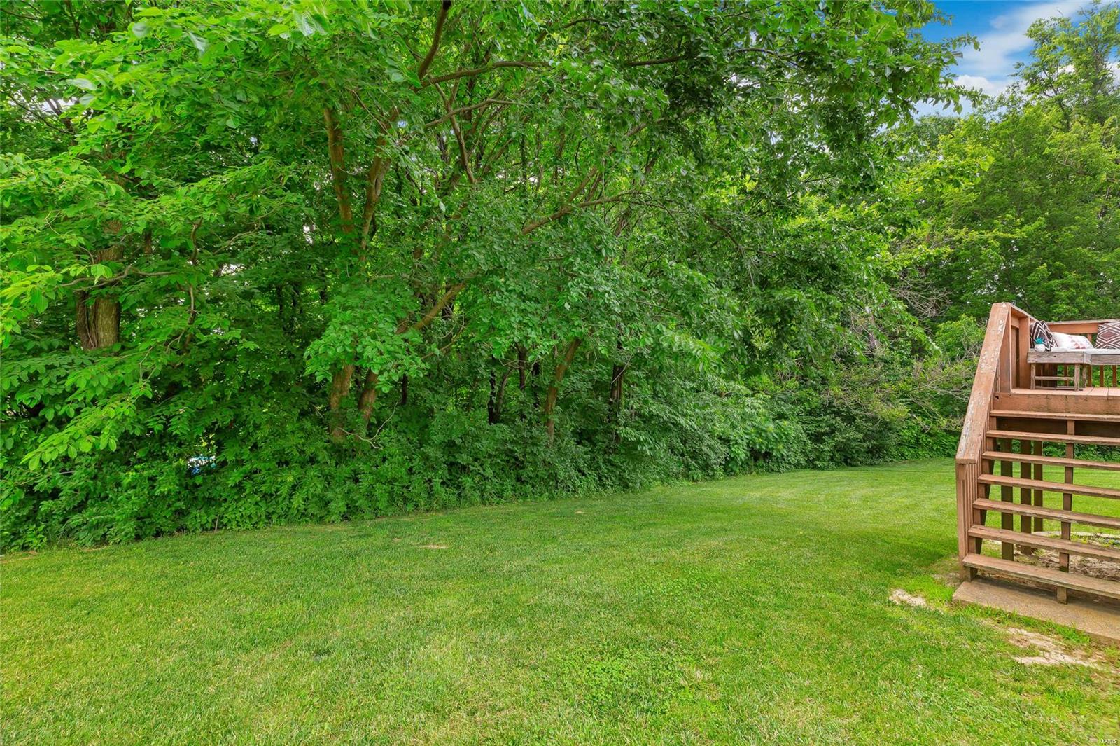 207 Falcon Pointe Valmeyer, IL 62295 - Photo 40 of 49