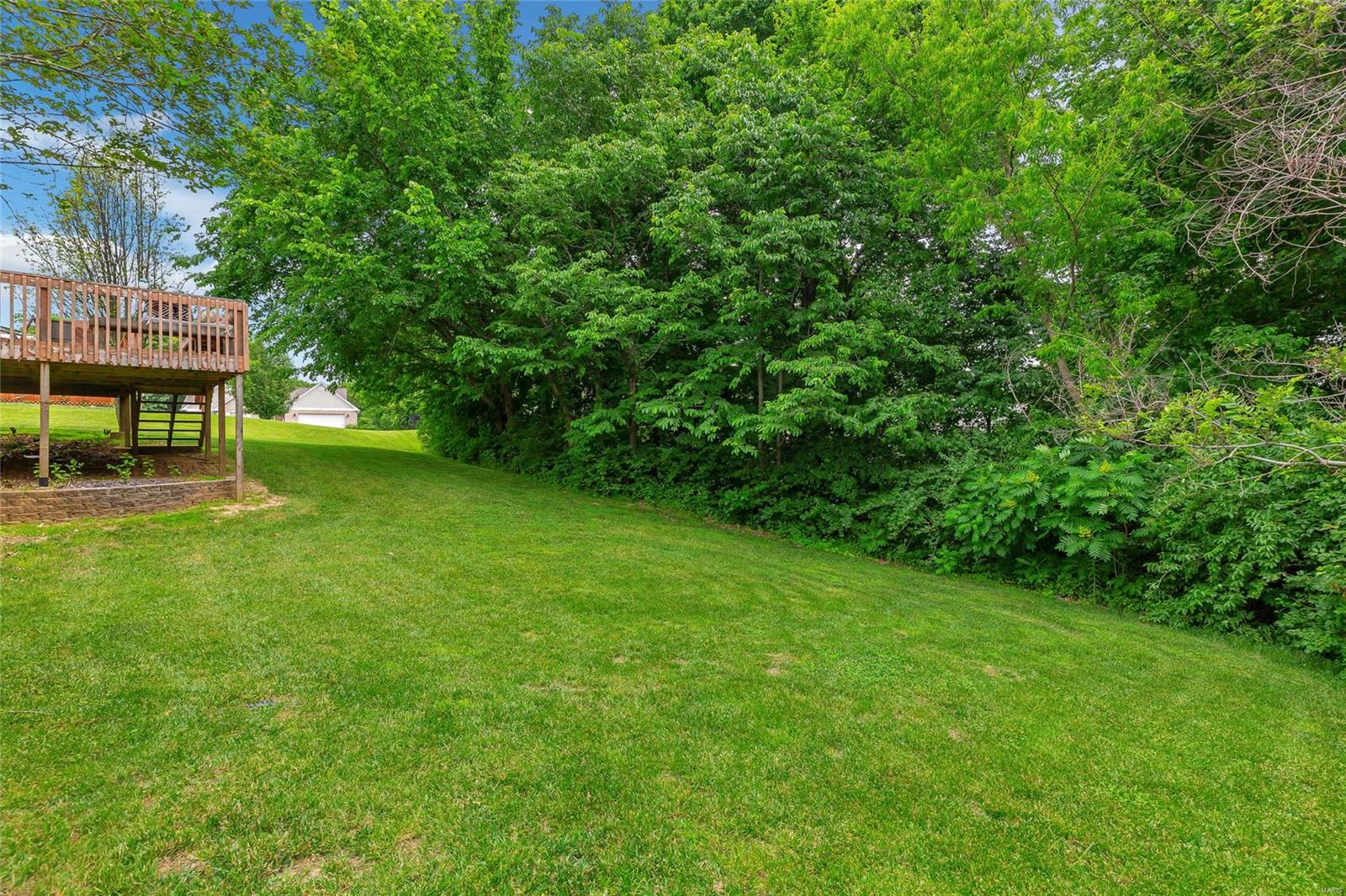 207 Falcon Pointe Valmeyer, IL 62295 - Photo 45 of 49