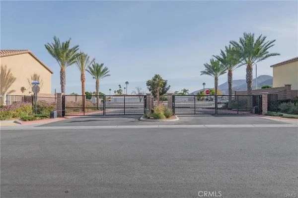 a row of palm trees and a swimming pool in the backyard of a house