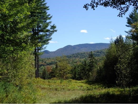 0 Barnes Hill Road Stowe, VT 05672 - Photo 1 of 1