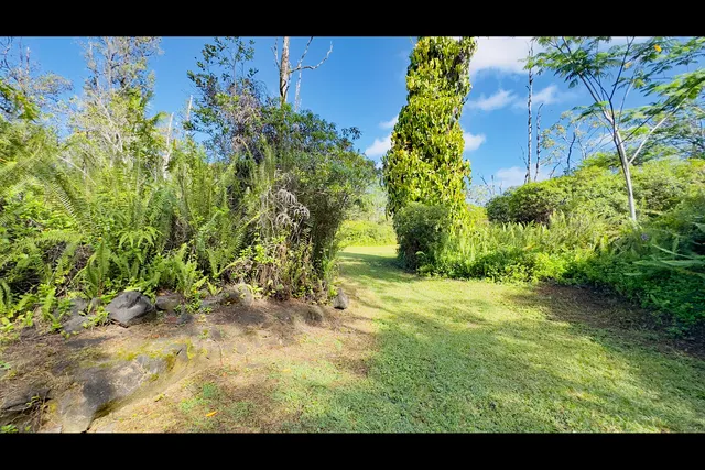 a view of outdoor space with garden