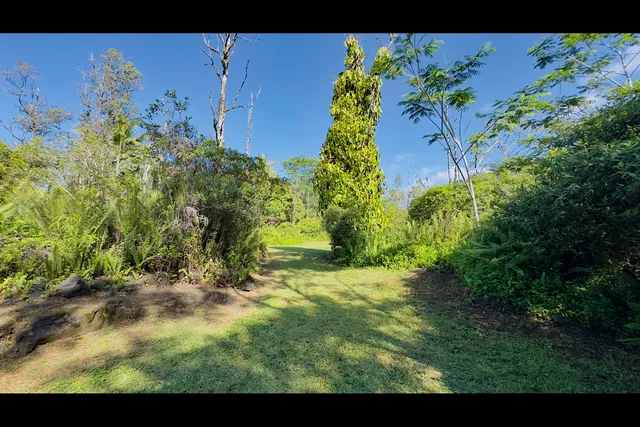 a view of an outdoor space and a yard