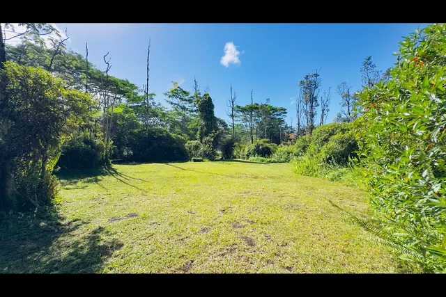 a view of an outdoor space and a yard