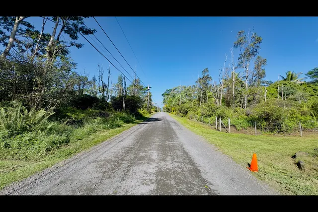 a view of a backyard with potted plants