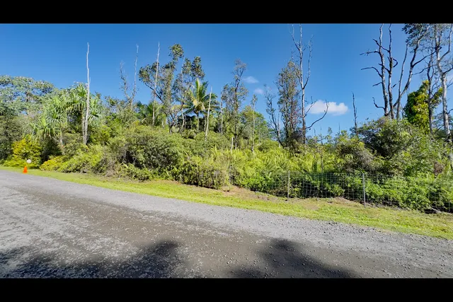 a view of a yard with potted plants