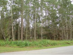 0 Southeast 15th Street Ocala, FL 34471 - Photo 1 of 1 Primary Photo