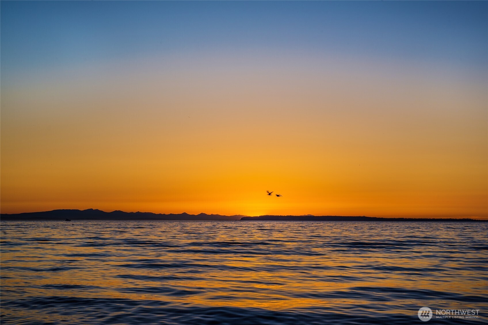 9545 Semiahmoo Parkway, Unit 201 Blaine, WA 98230 - Photo 40 of 40 a view of an ocean and beach