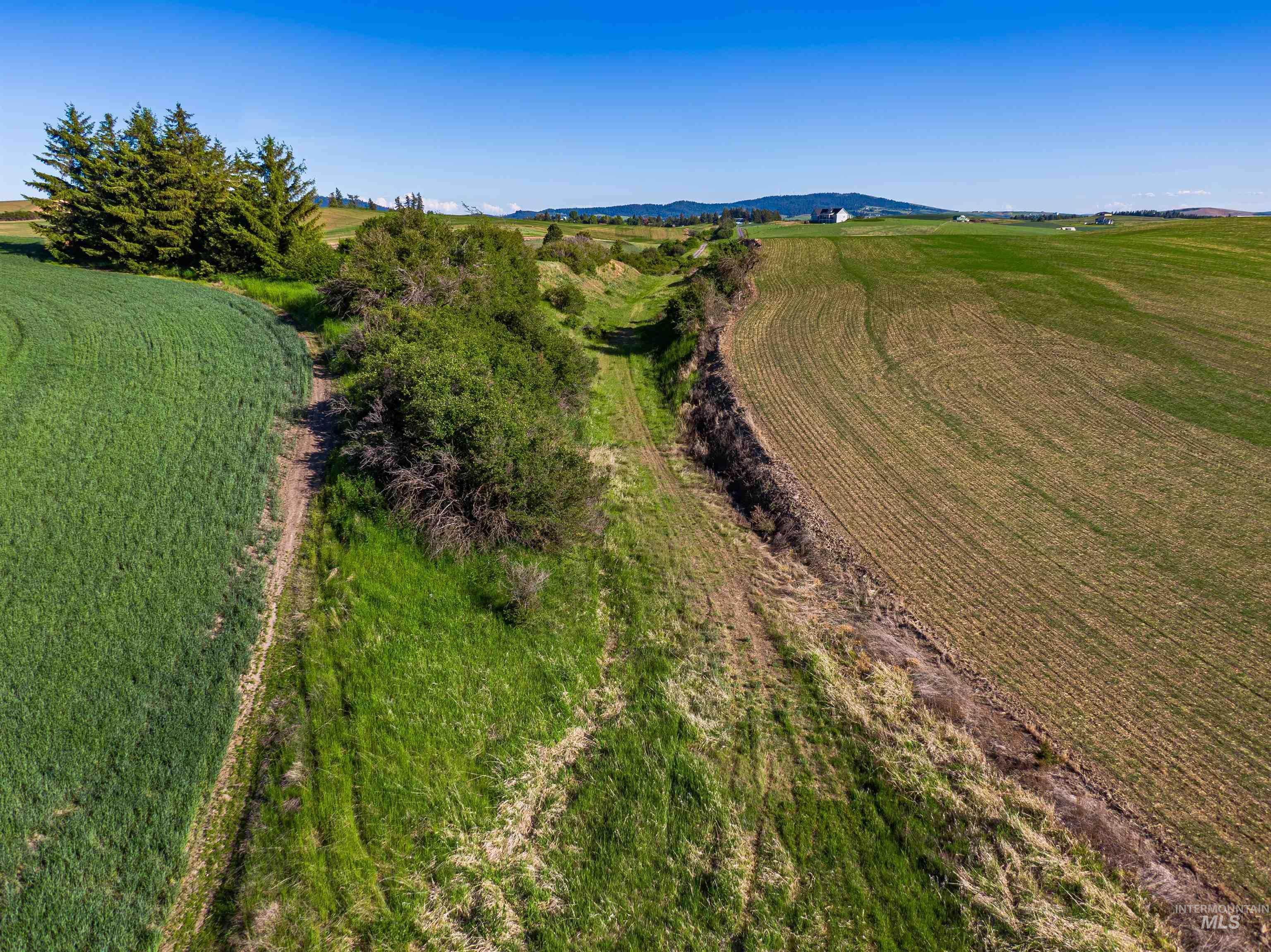 Tbd/000 Mix Road Moscow, ID 83843 - Photo 22 of 31 View of rural area