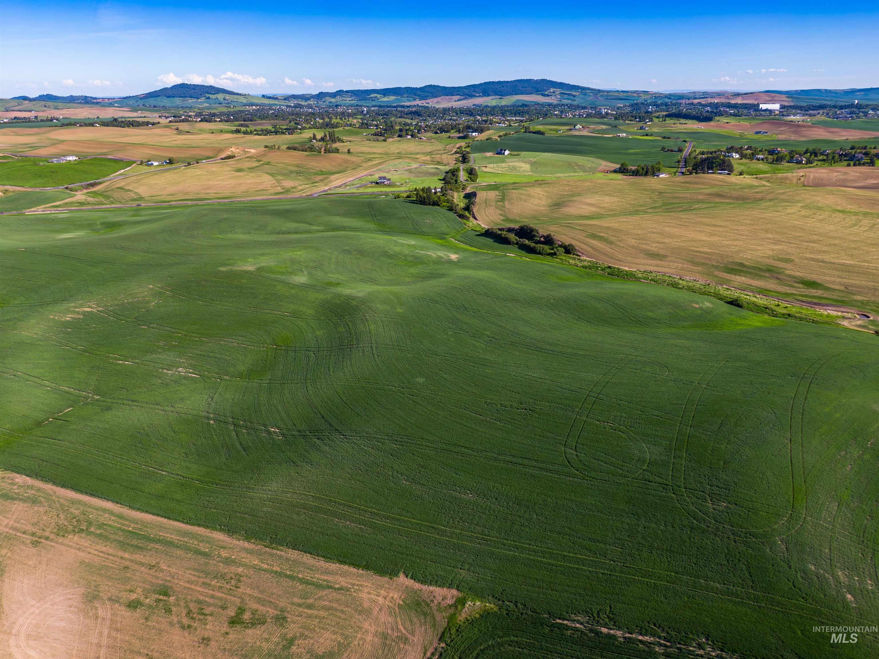 Tbd/000 Mix Road Moscow, ID 83843 - Photo 7 of 31 Aerial view of a mountainous background and a golf course