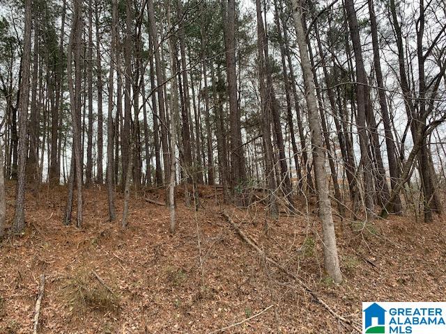 4325 McClendon Chapel Road Bessemer, AL 35022 - Photo 15 of 25