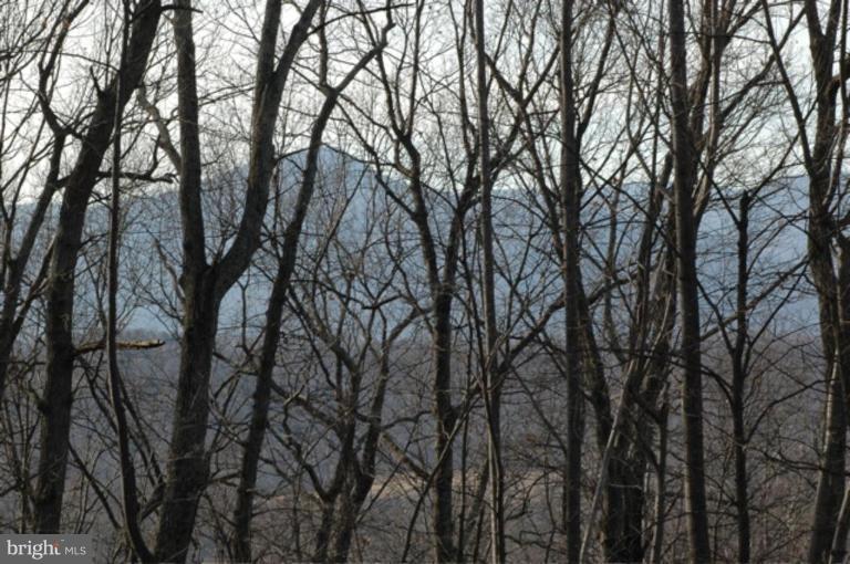 285 Round Hill Road Boston, VA 22713 - Photo 14 of 21 Western Views