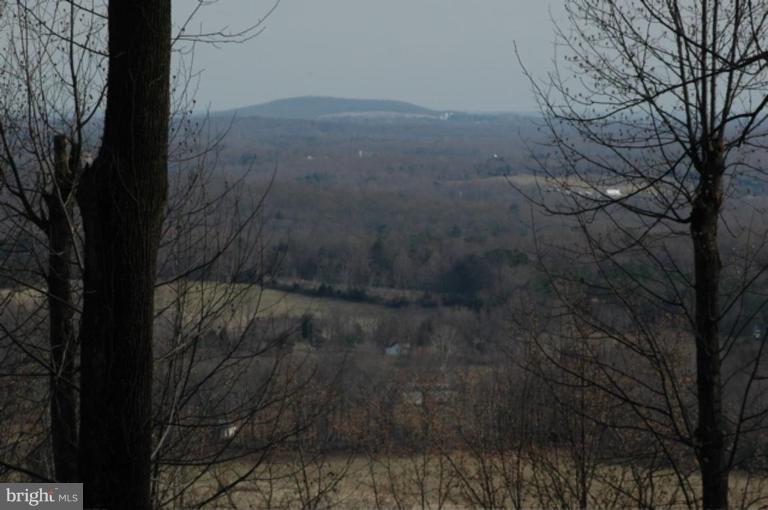 285 Round Hill Road Boston, VA 22713 - Photo 15 of 21 Eastern Views