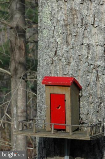 285 Round Hill Road Boston, VA 22713 - Photo 19 of 21 Outhouse Birdfeeder
