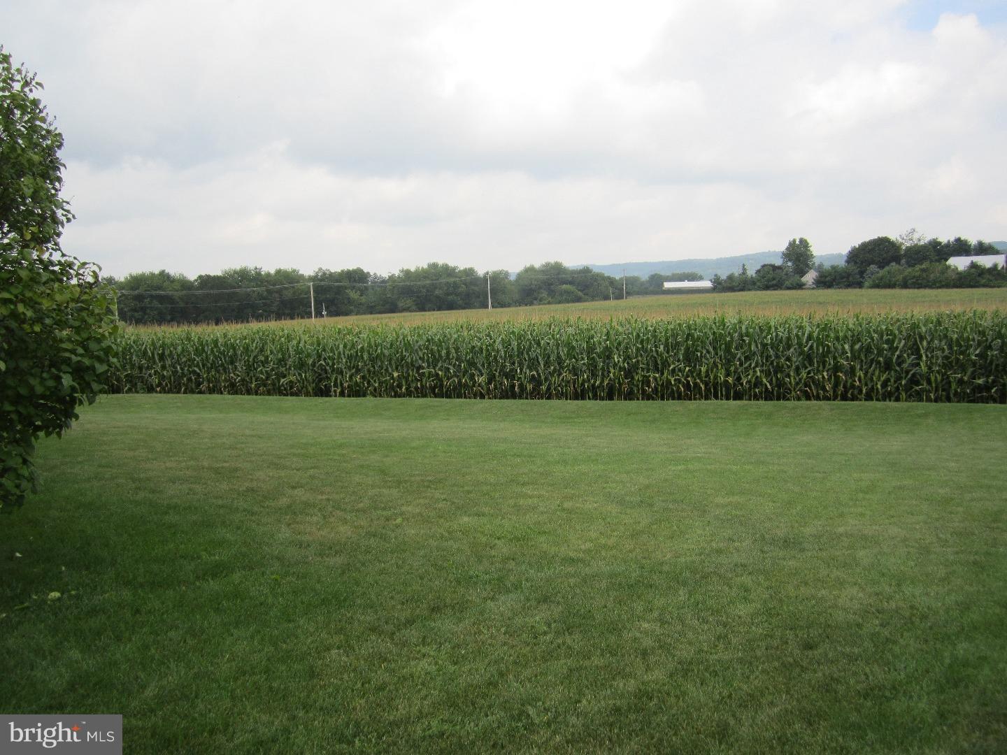 185 Hollow Road Reinholds, PA 17569 - Photo 22 of 23 Gallery Image 22