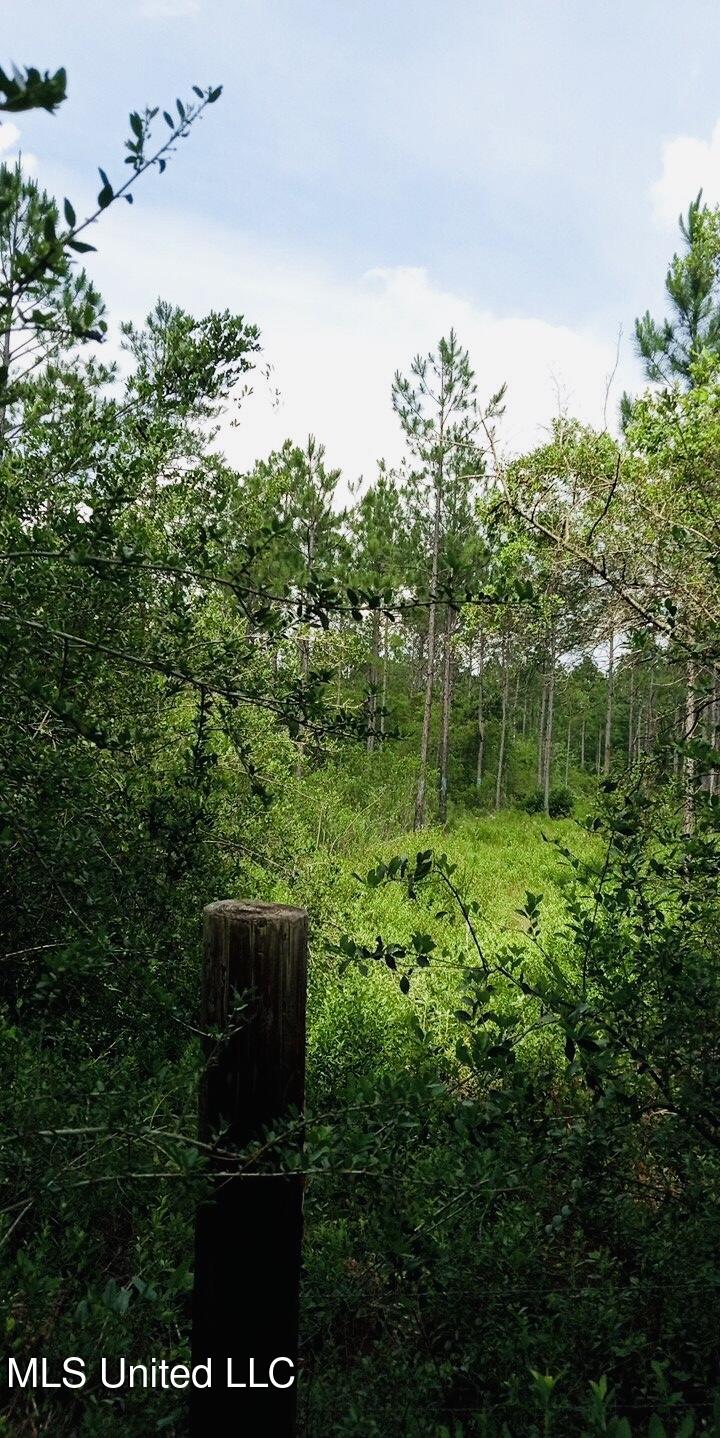 Grafe Homestead Road Moss Point, MS 39562 - Photo 11 of 11 34544766816054659031748289416052