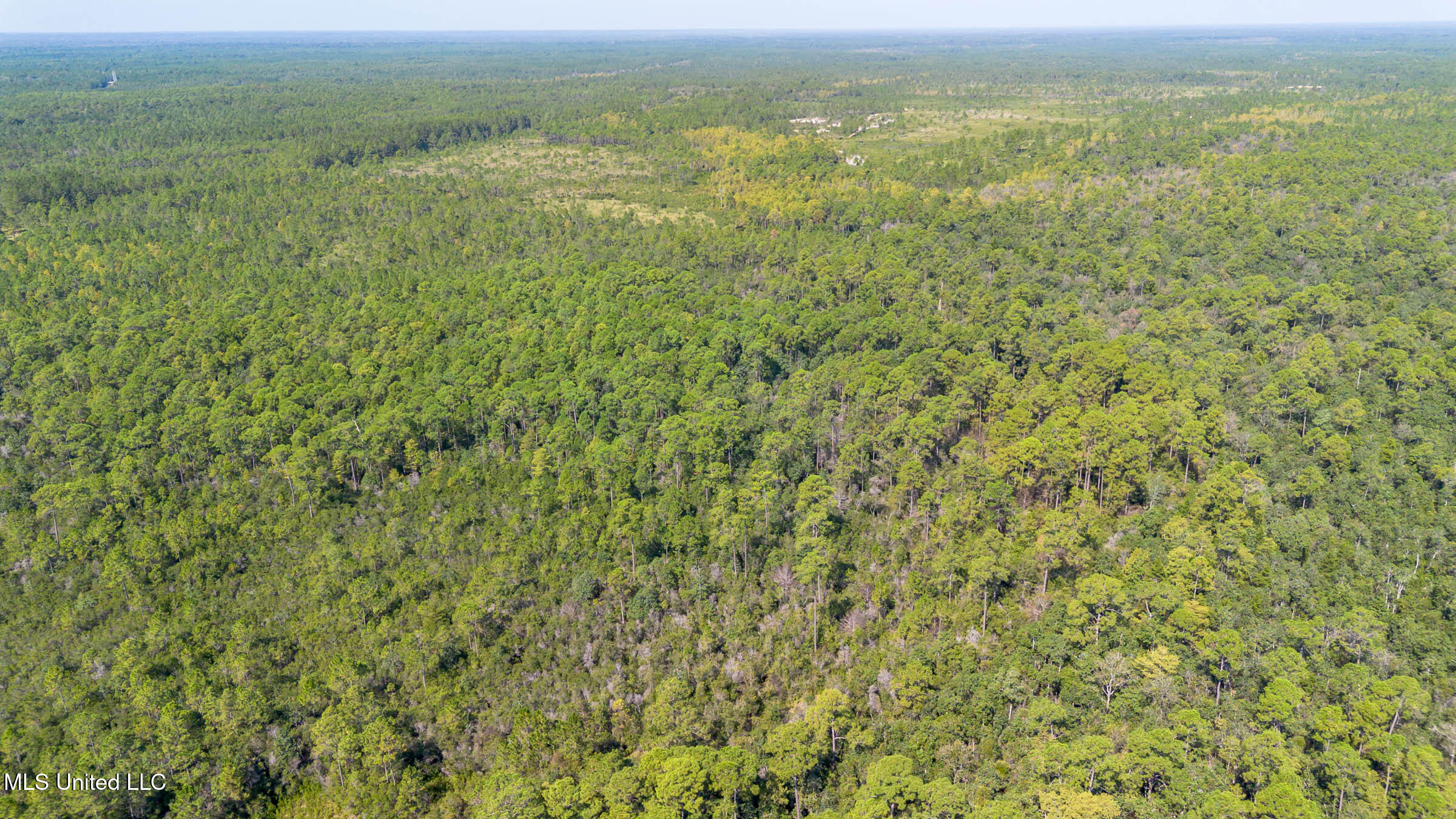 Grafe Homestead Road Moss Point, MS 39562 - Photo 2 of 11 Moss Point Property (15)