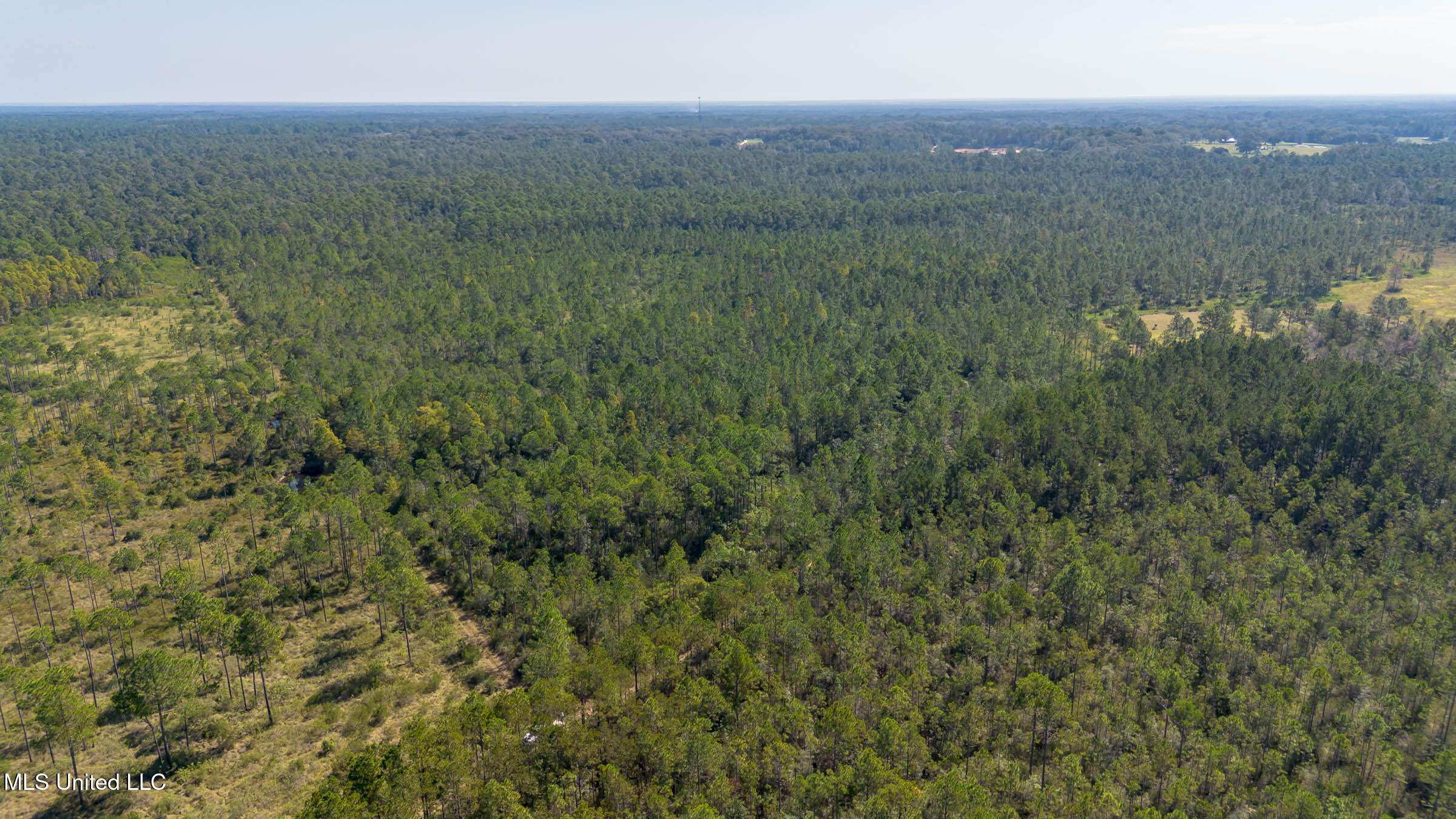 Grafe Homestead Road Moss Point, MS 39562 - Photo 3 of 11 Moss Point Property (3)