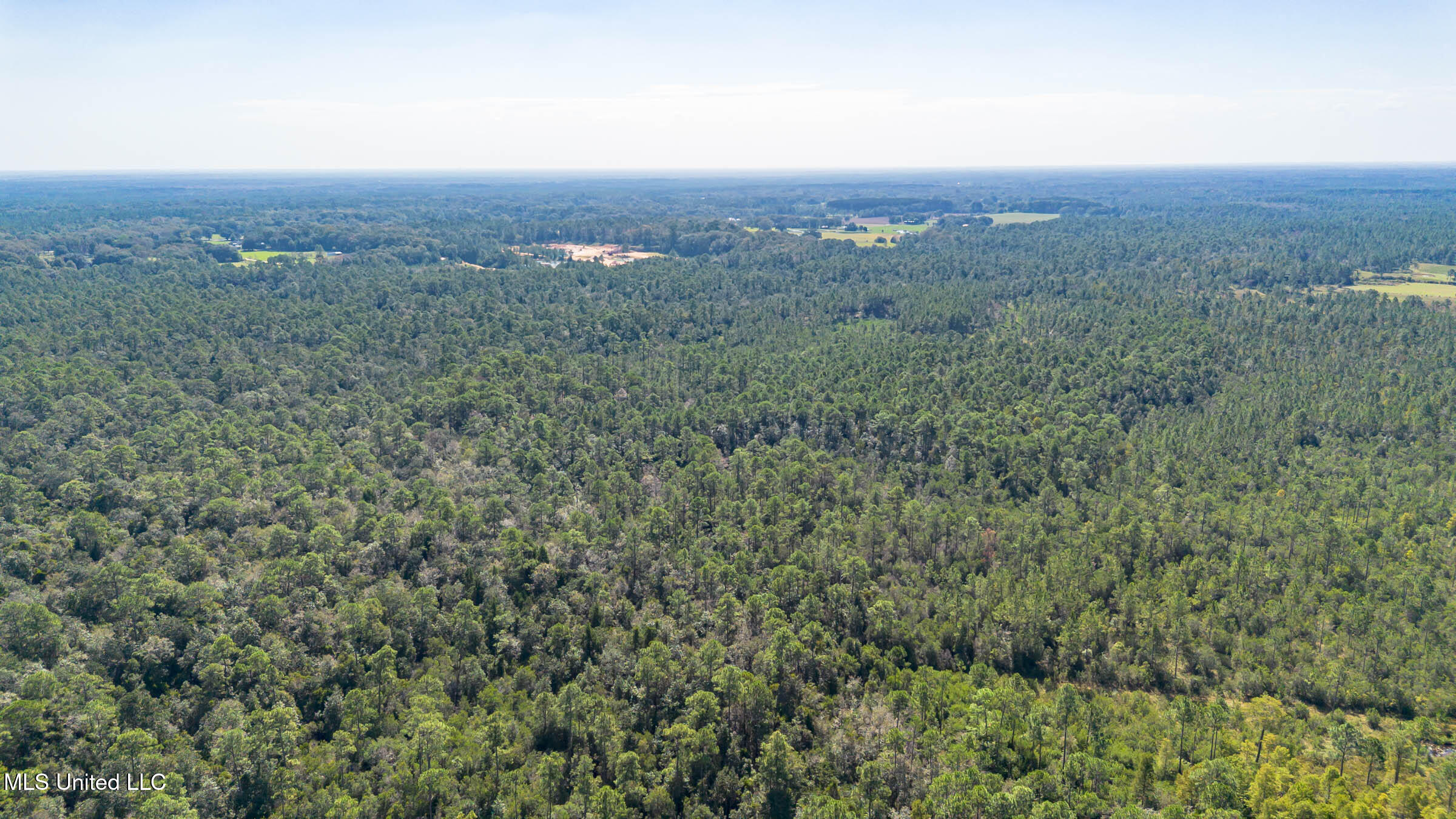 Grafe Homestead Road Moss Point, MS 39562 - Photo 4 of 11 Moss Point Property (6)