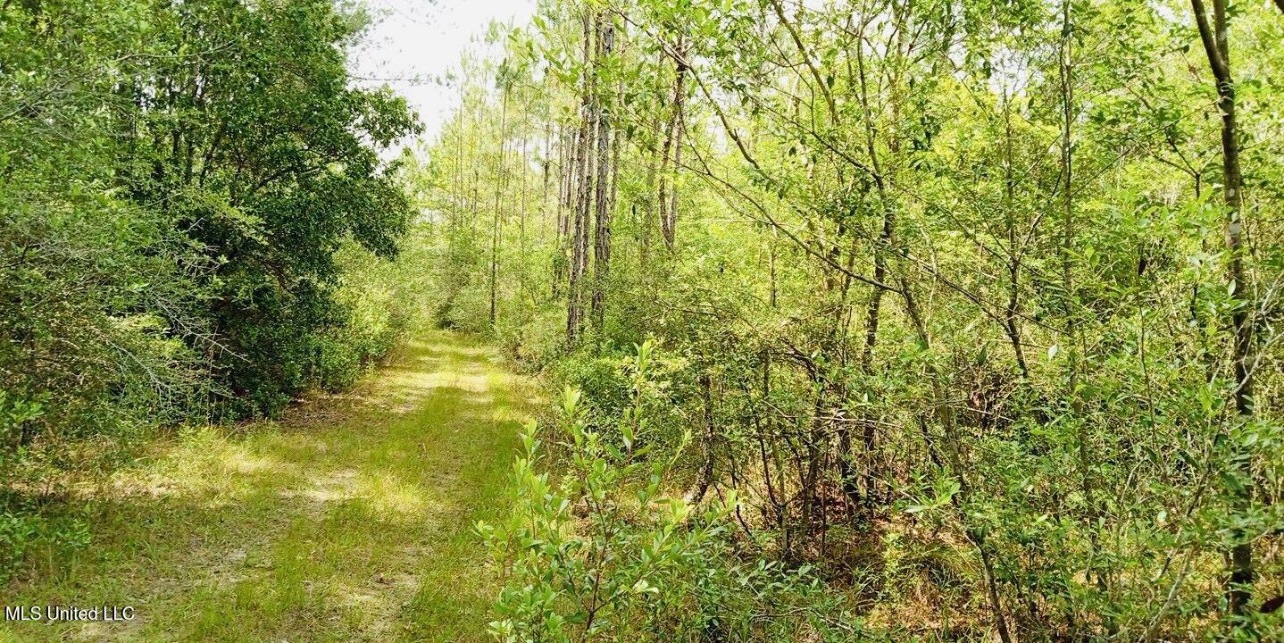 Grafe Homestead Road Moss Point, MS 39562 - Photo 5 of 11 27086429193663777831748289436431