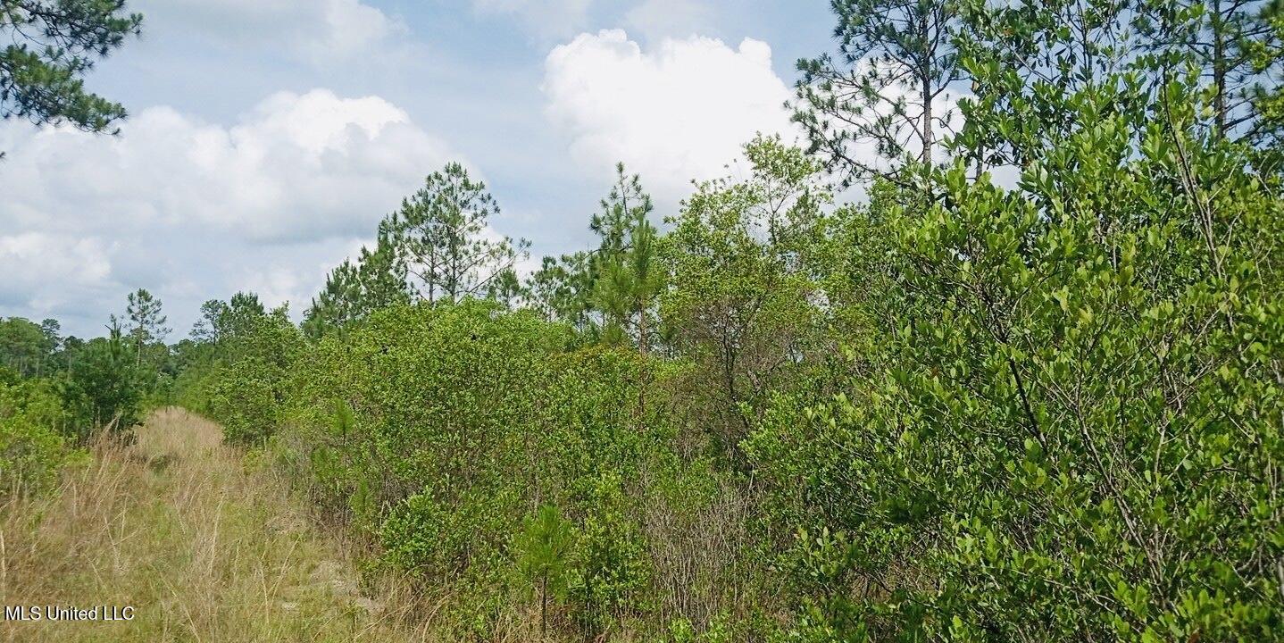 Grafe Homestead Road Moss Point, MS 39562 - Photo 9 of 11 71301729272211636601748289827516