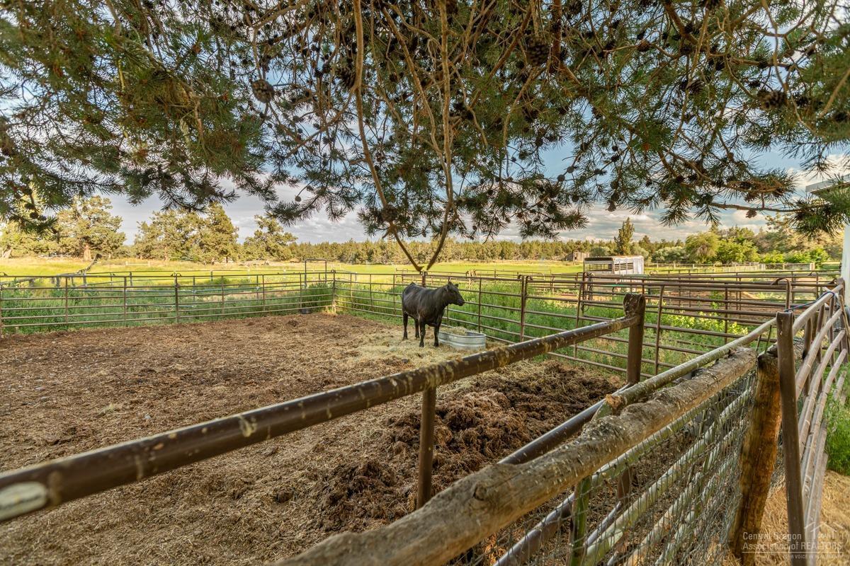 62510 Stenkamp Road Bend, OR 97701 - Photo 23 of 25 Additional Photo