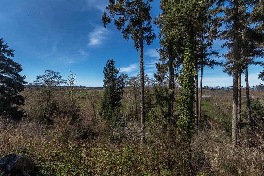 1260 Walker Point Road Eureka, CA 95503 - Photo 98 of 114 105