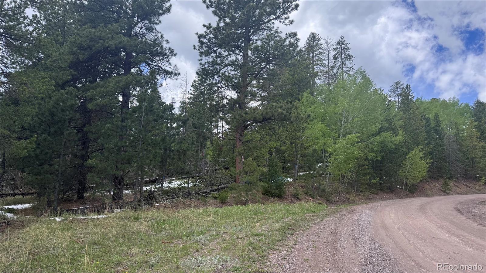 717 Crescent Lake Road Golden, CO 80403 - Photo 3 of 27