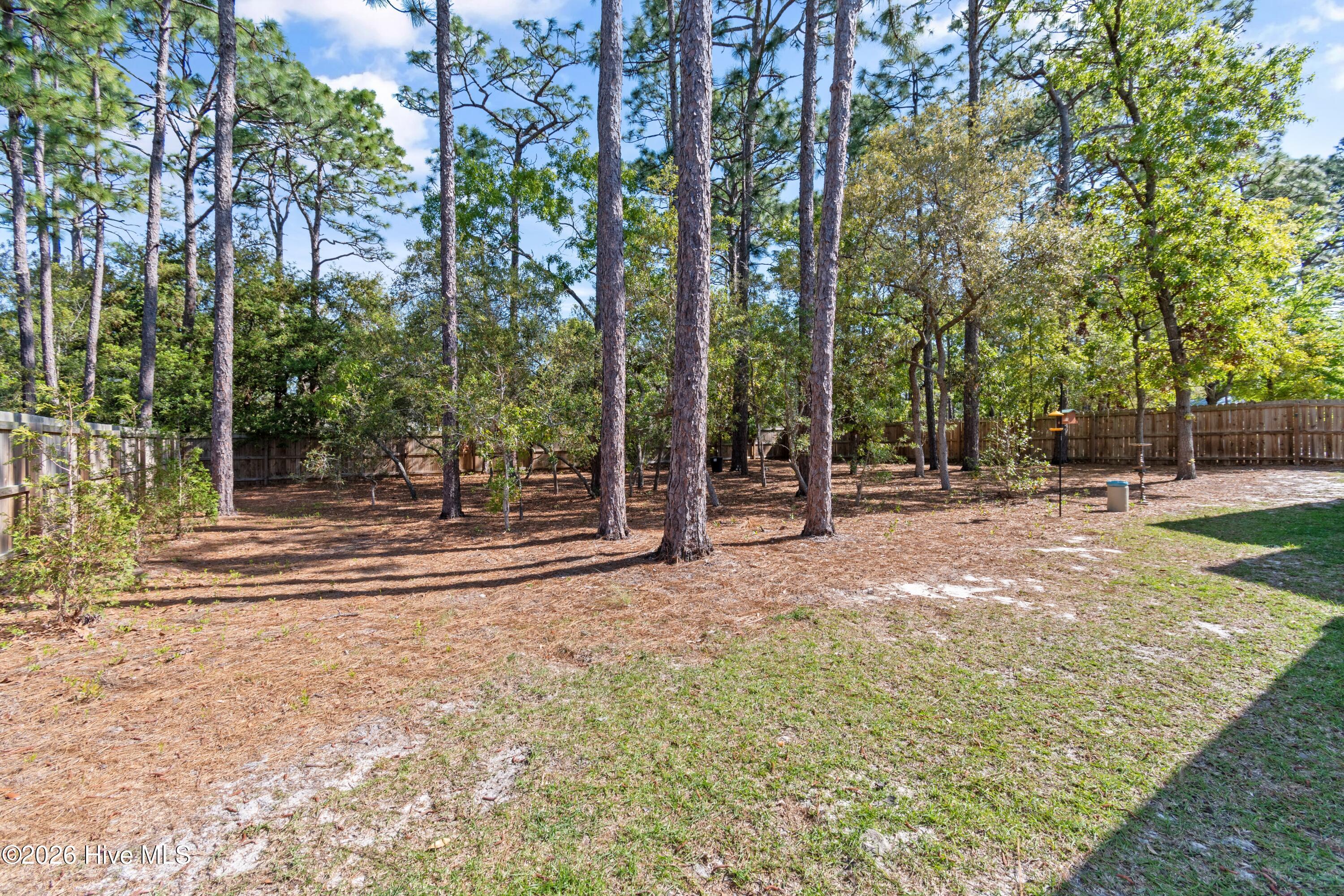 955 Trevino Road Southport, NC 28461 - Photo 36 of 54 955TrevinoRd - 42