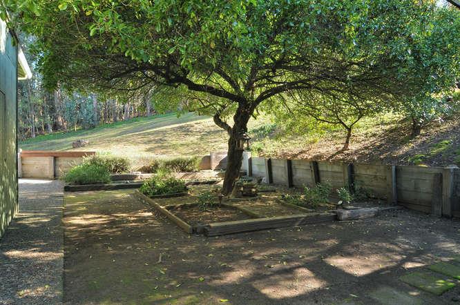 3860 Anzar Road Aromas, CA 95004 - Photo 25 of 48 Gallery Image 25