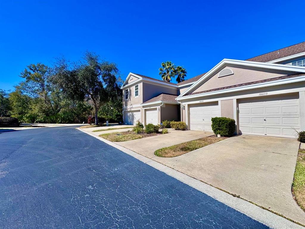 10035 Tranquility Way Tampa, FL 33625 - Photo 3 of 28 a view of a white house with a yard