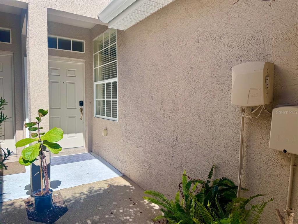 10035 Tranquility Way Tampa, FL 33625 - Photo 4 of 28 a potted plant sitting in front of a house
