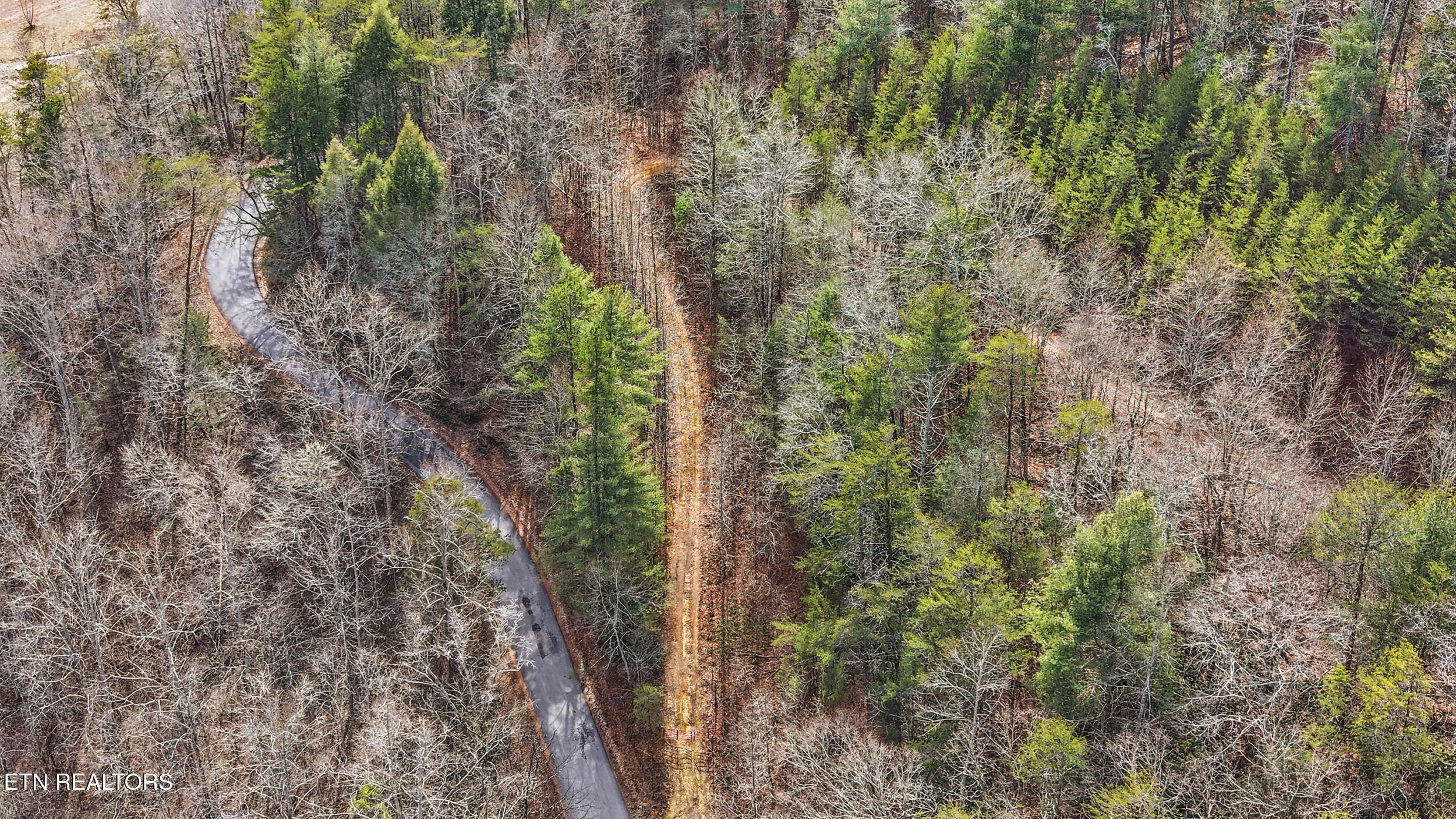 Creek Road Tellico Plains, TN 37385 - Photo 5 of 9 009_kPQw