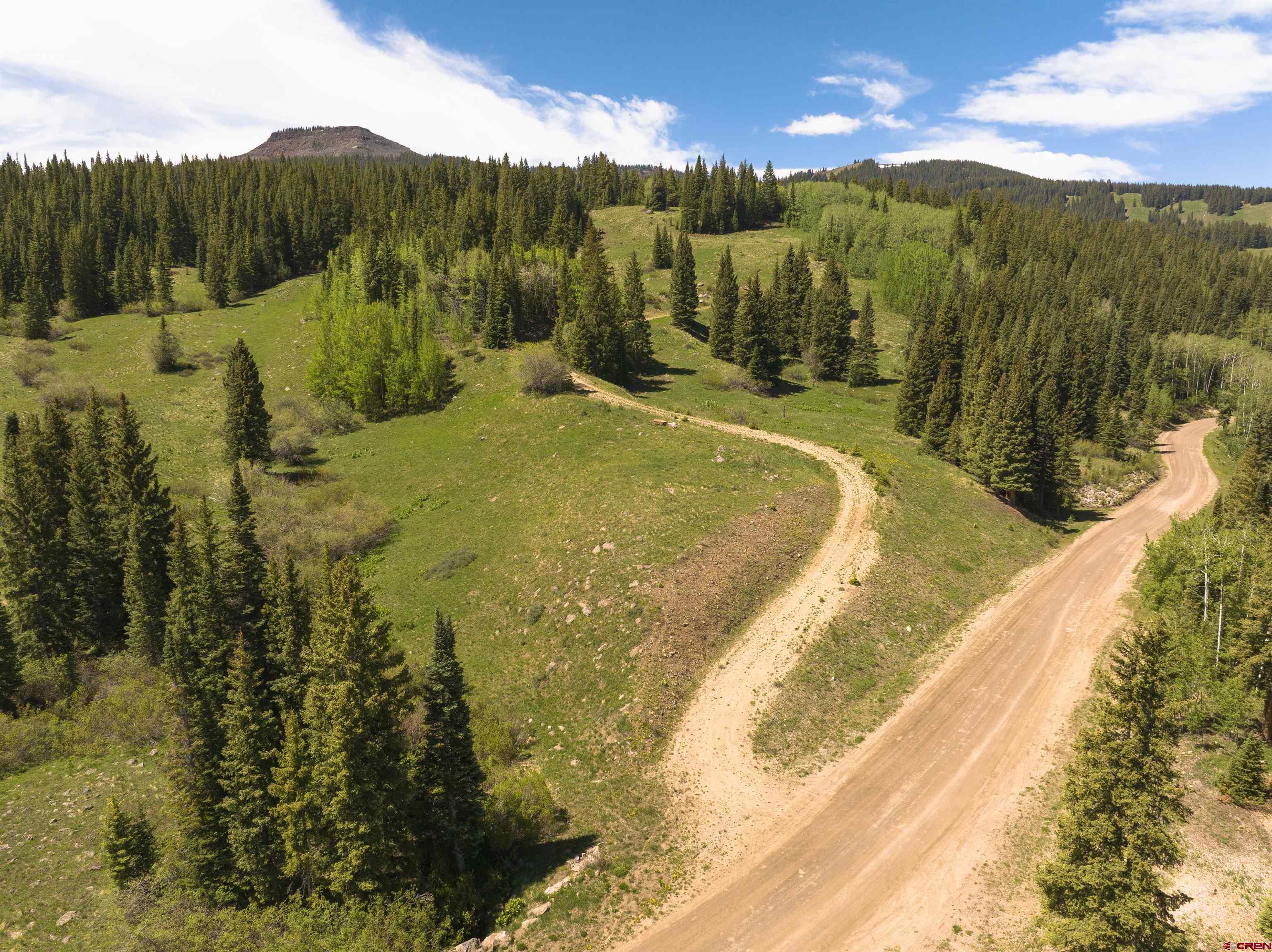 1371 Red Mountain Ranch Road Crested Butte, CO 81224 - Photo 20 of 41