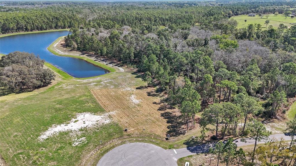 20280 Shoreline Ranch Lane Umatilla, FL 32784 - Photo 7 of 12