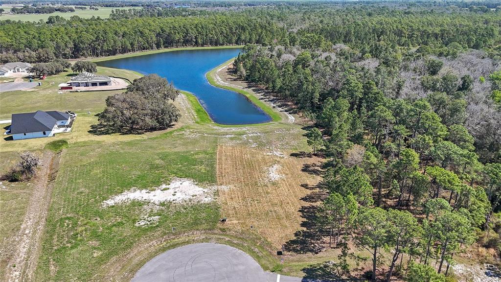 20280 Shoreline Ranch Lane Umatilla, FL 32784 - Photo 8 of 12