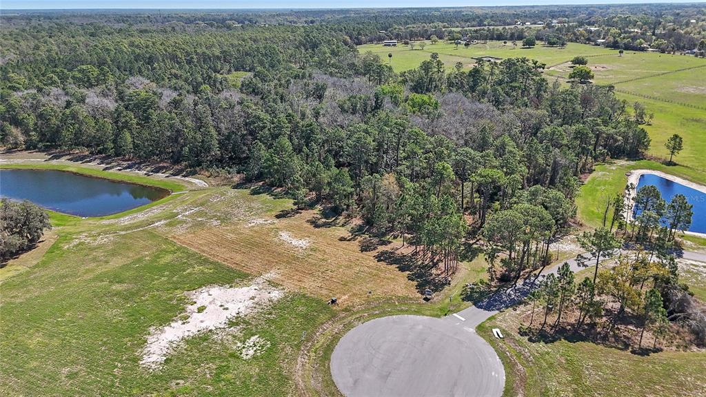 20280 Shoreline Ranch Lane Umatilla, FL 32784 - Photo 9 of 12