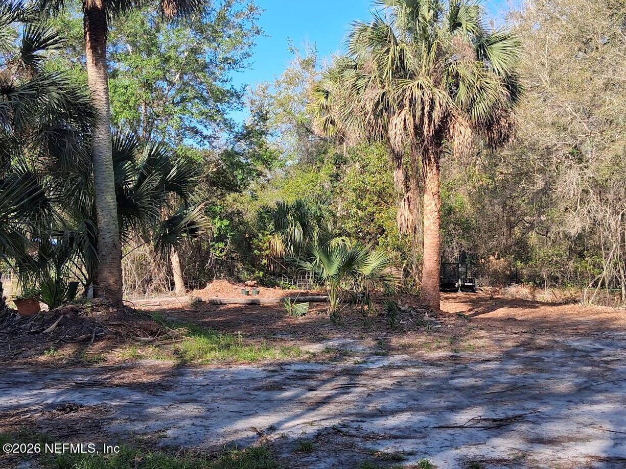 910 Paradise Boulevard Georgetown, FL 32139 - Photo 6 of 9 a view of a yard with plants and trees